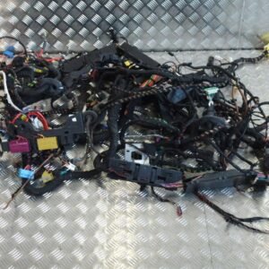 Complete Wiring Harness for the Mercedes SLS 197