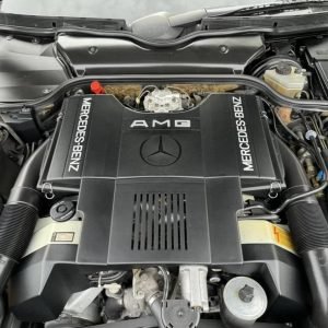 Original AMG M119 6.0L V8 Engine